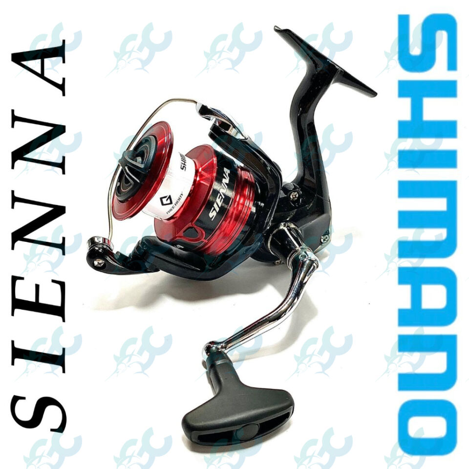 Shimano Sienna FG 2019 Model Reel Fishing Buddy GoodCatch Fishing